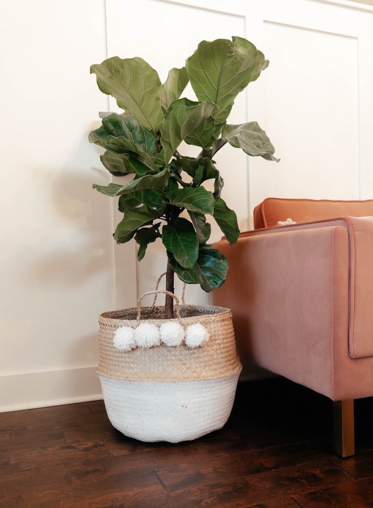 White Seagrass Belly Basket with white pom poms - Handmade Boho Home Decor