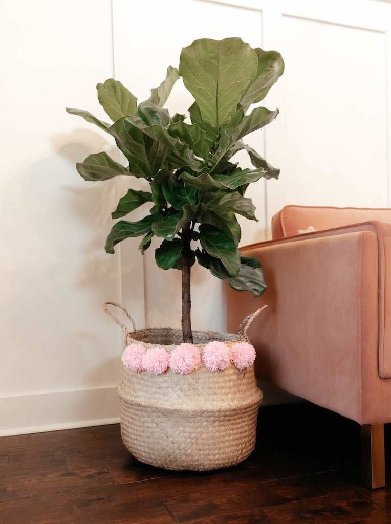 Sea grass belly basket with blush pom poms - Handmade Boho Home Decor