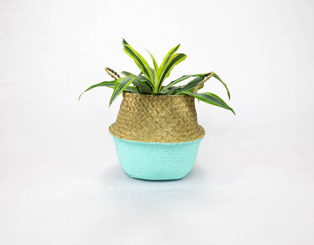 Blue Seagrass small belly basket