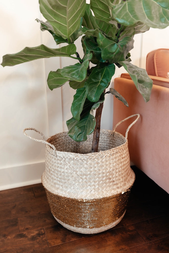 Gold Sequin Seagrass Woven Belly Basket Plant Holder
