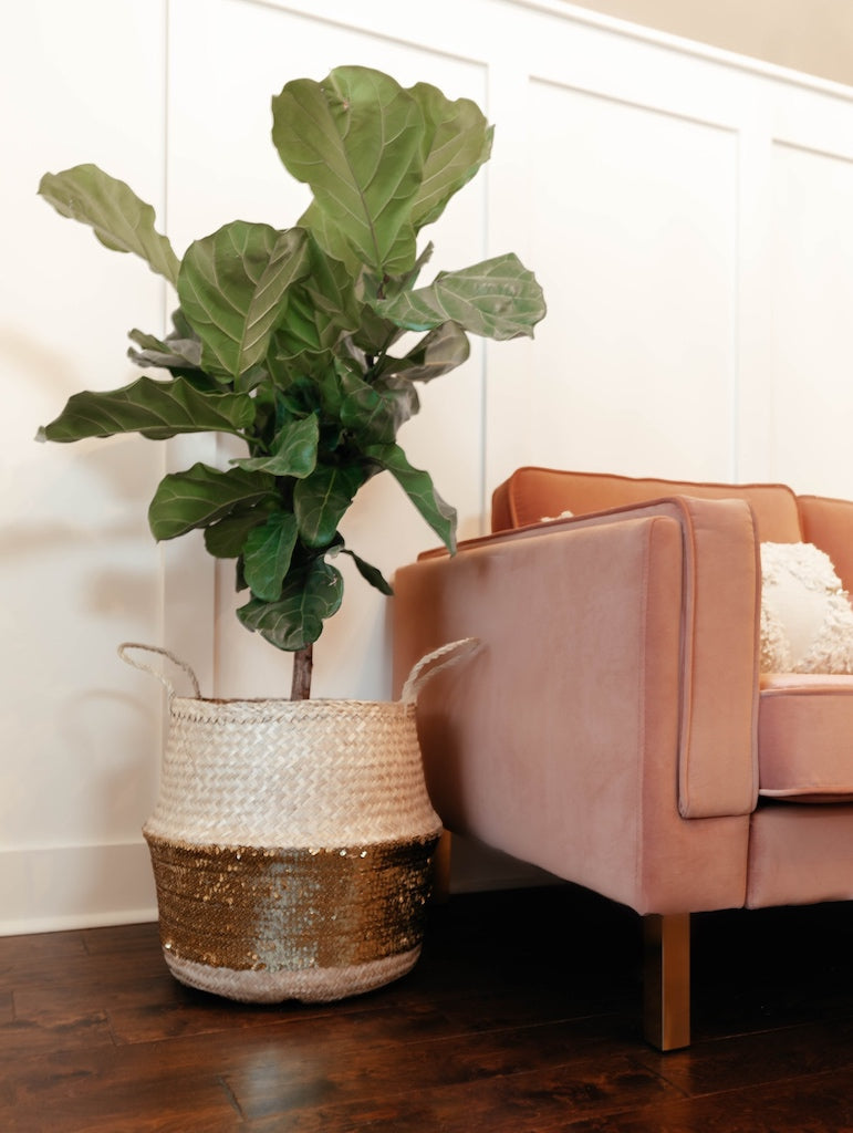 Gold Sequin Seagrass Woven Belly Basket Plant Holder